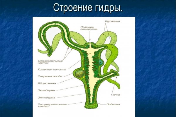 Как через сафари зайти на кракен