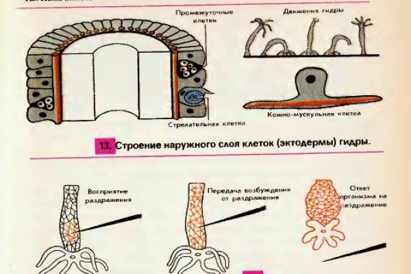 Кракен нарколог